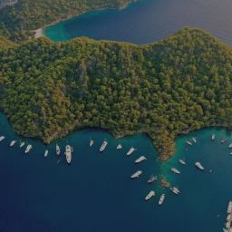 Gocek